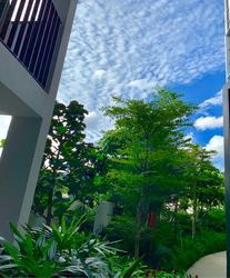 Botanique At Bartley (D19), Condominium #206279581